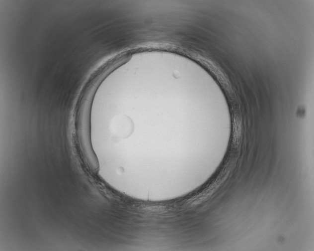 X0000116330628201001131025