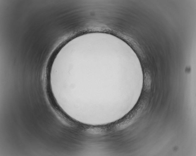 X0000116330630201001131025