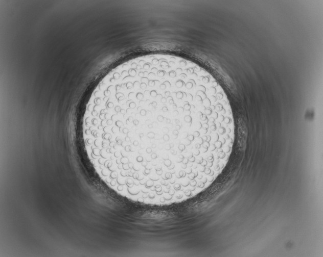 X0000116330631201001131025