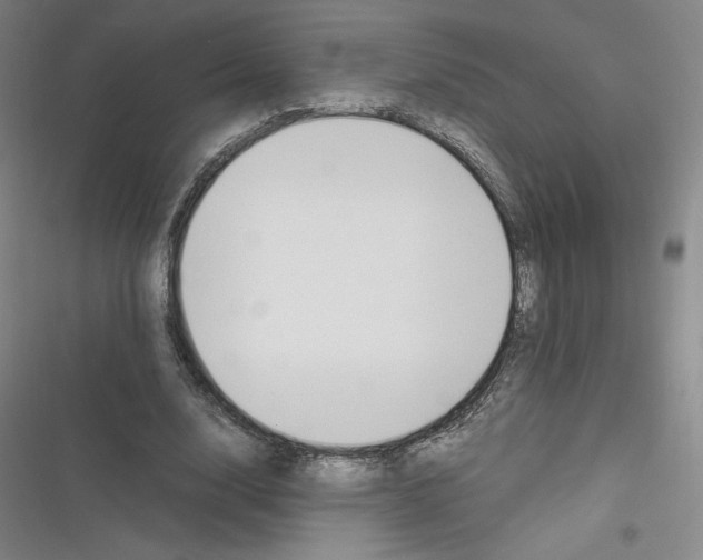 X0000116330632201001131025