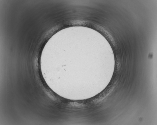 X0000116330633201001131025