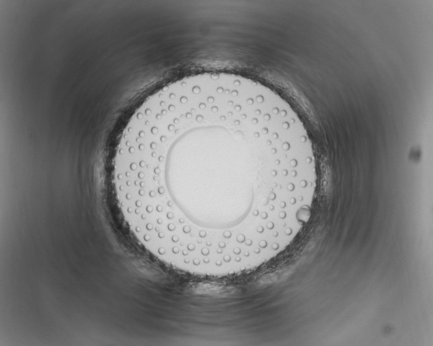 X0000116330635201001131025