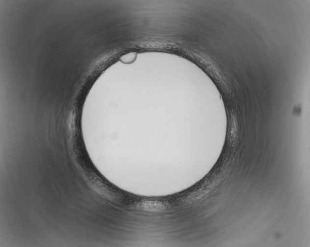 X0000116330636201001131025