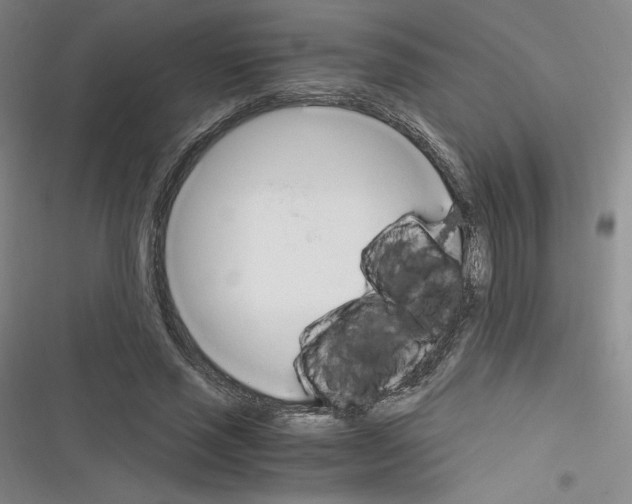 X0000116330637201001131025