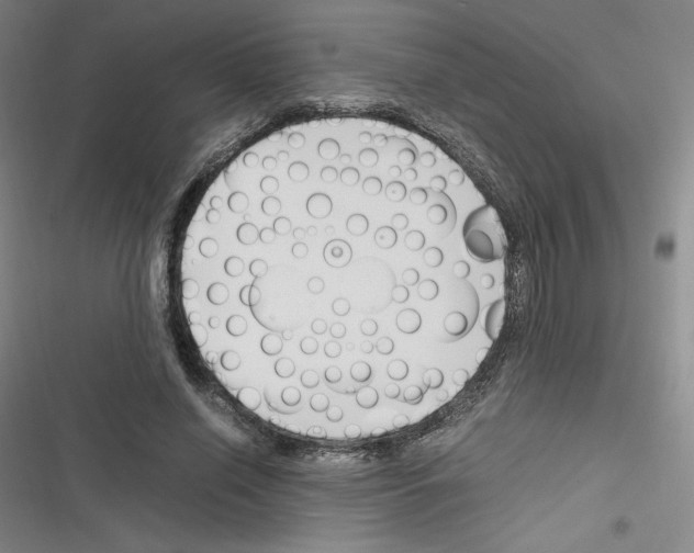 X0000116330638201001131025