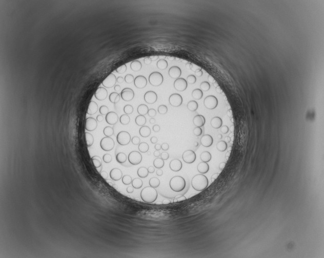 X0000116330639201001131025