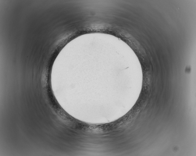 X0000116330640201001131025
