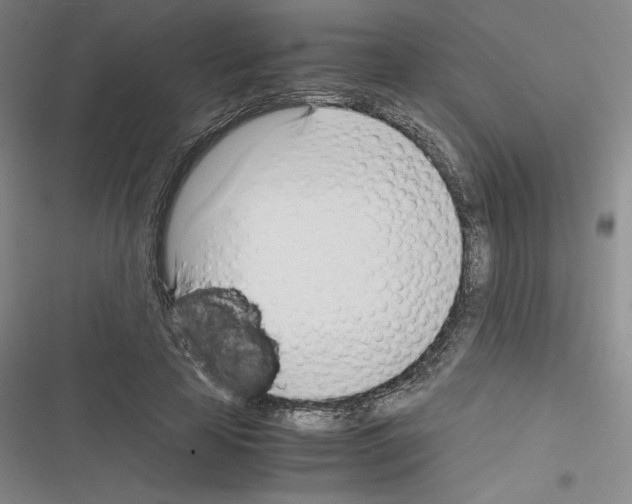 X0000116330641201001131025