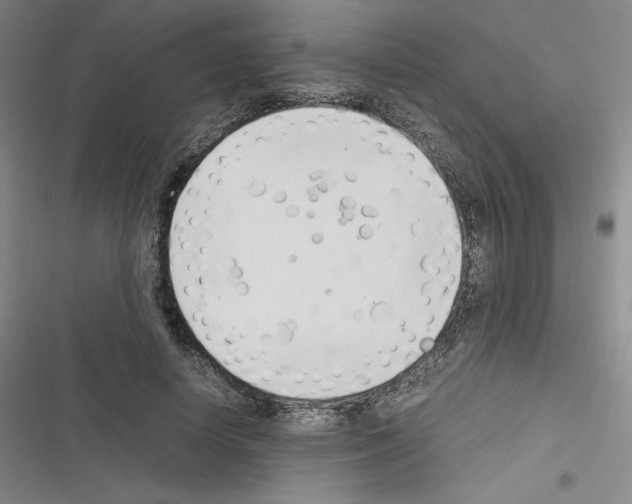 X0000116330642201001131025