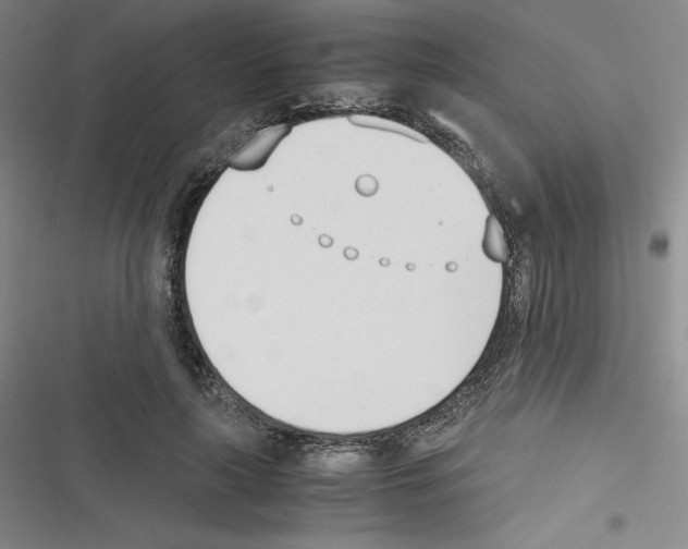 X0000116330643201001131025