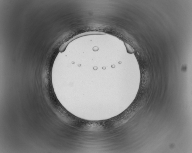 X0000116330644201001131025