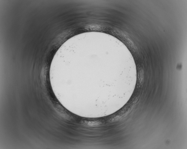 X0000116330645201001131025