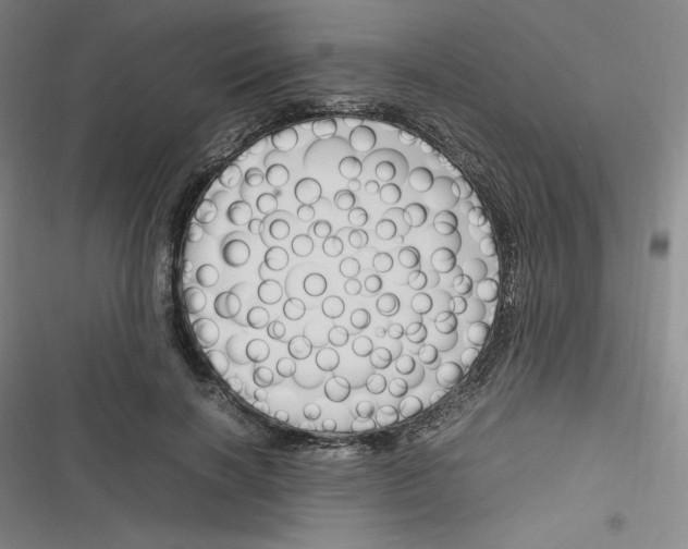 X0000116330646201001131025