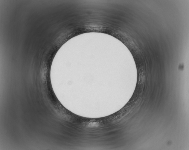 X0000116330647201001131025