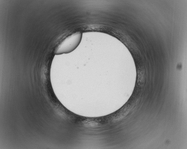 X0000116330648201001131025