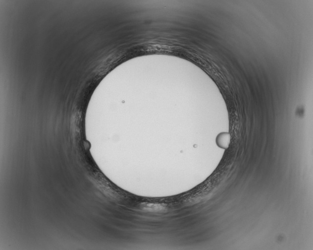 X0000116330649201001131025