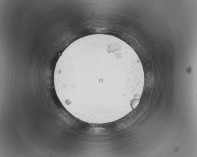 X0000116330650201001131025