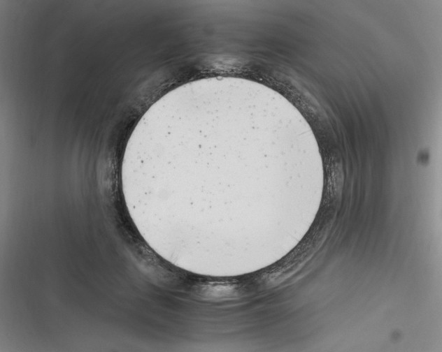 X0000116330651201001131025