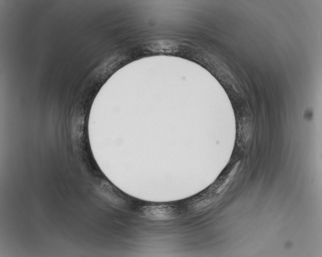 X0000116330652201001131025