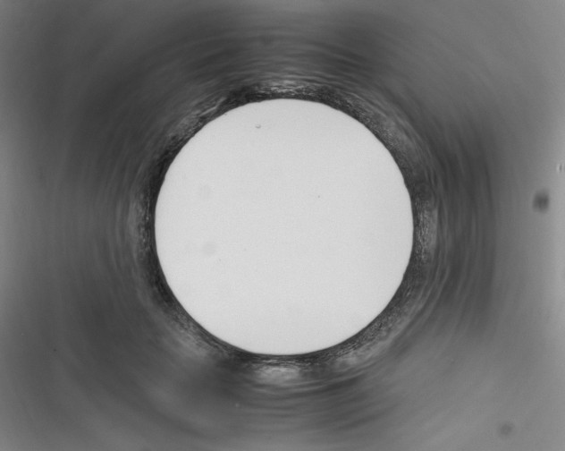 X0000116330653201001131025