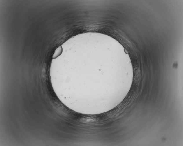 X0000116330655201001131025