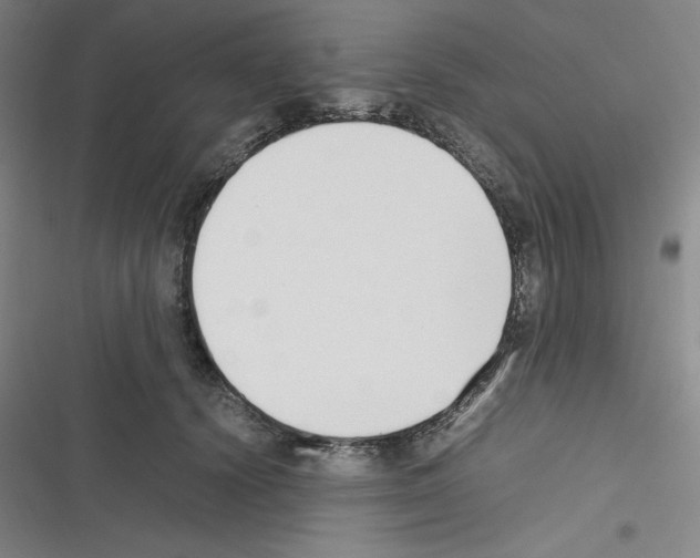 X0000116330656201001131025