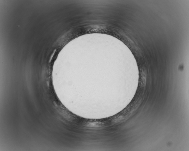 X0000116330657201001131025