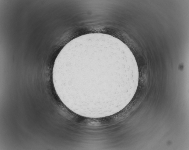 X0000116330658201001131025