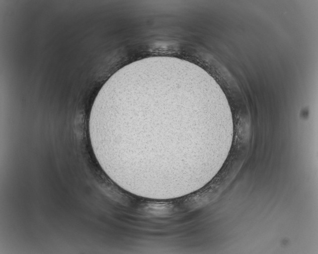 X0000116330659201001131025
