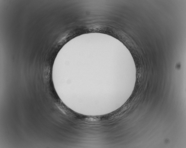 X0000116330660201001131025