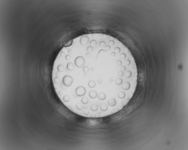 X0000116330662201001131025