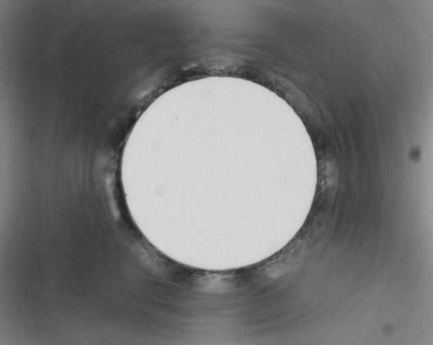 X0000116330664201001131025