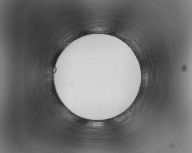 X0000116330665201001131025
