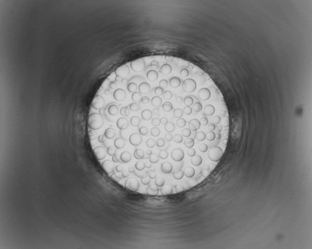 X0000116330666201001131025