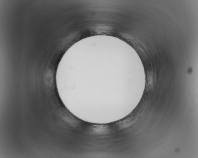 X0000116330667201001131025