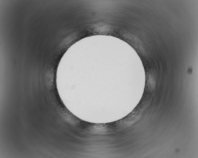 X0000116330668201001131025