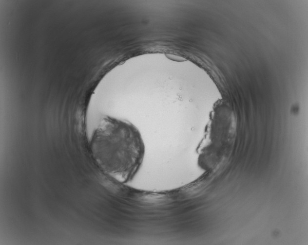 X0000116330669201001131025