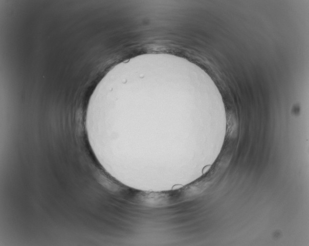 X0000116330670201001131025