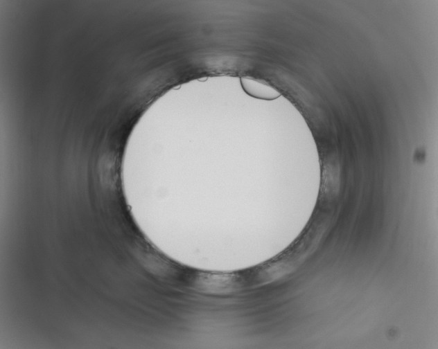 X0000116330671201001131025