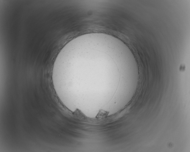 X0000116330672201001131025