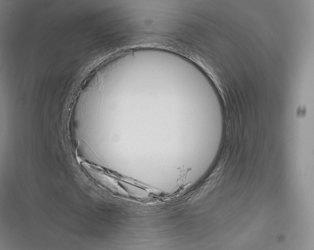 X0000116330673201001131025