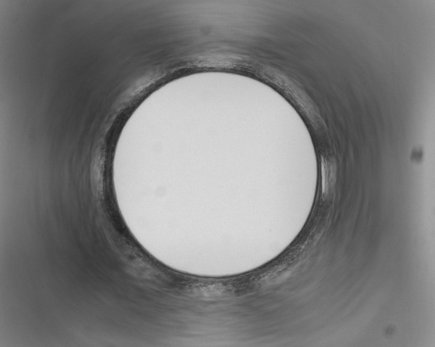 X0000116330675201001131025