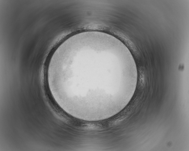 X0000116330678201001131025