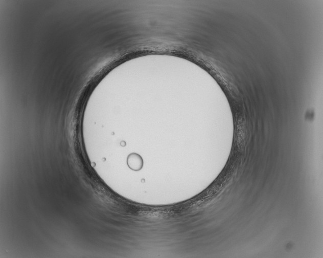 X0000116330679201001131025