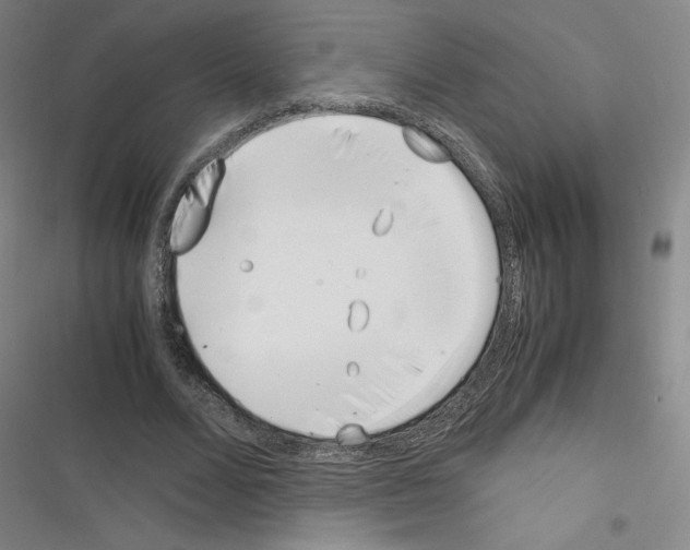 X0000116330680201001131025