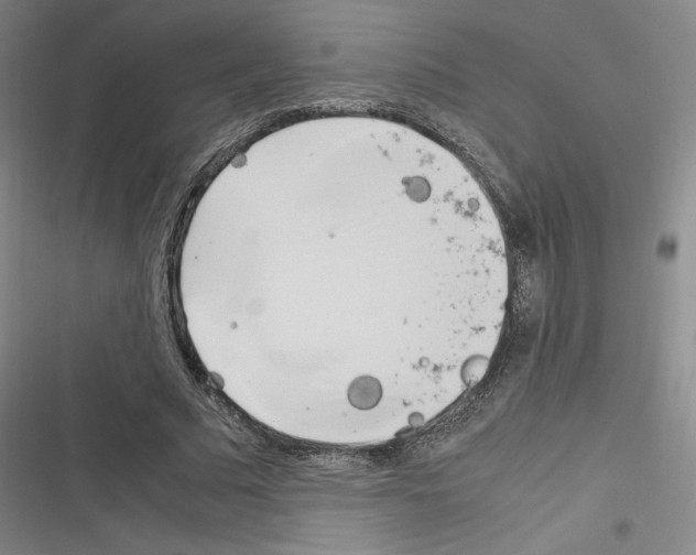 X0000116330681201001131025