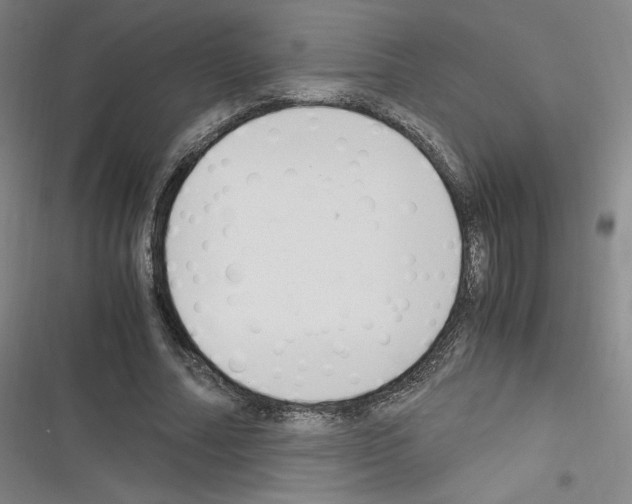 X0000116330682201001131025