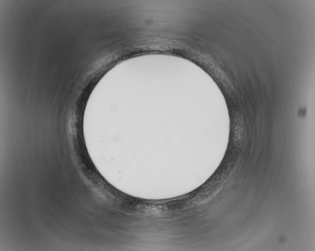 X0000116330683201001131025
