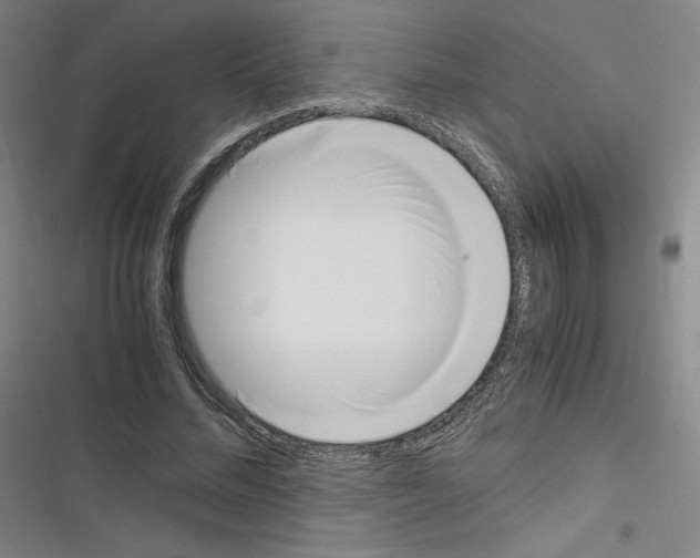 X0000116330684201001131025