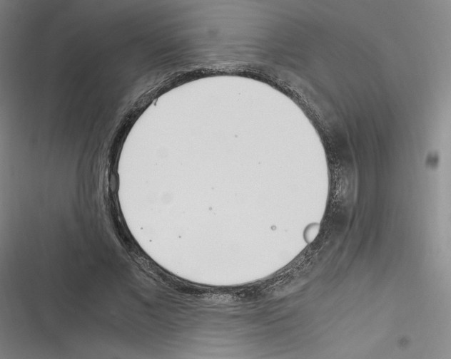 X0000116330685201001131025